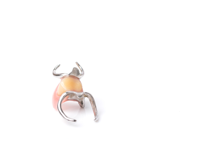 Dentures placed on white background, concept of oral health careの写真素材