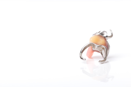 Dentures placed on white background, concept of oral health careの写真素材