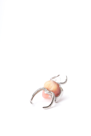 Dentures placed on white background, concept of oral health careの写真素材