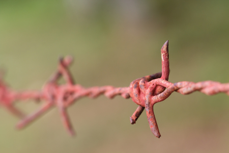 Macro photography the barbed wire background, the concept of trying to overcome the problems and obstaclesの写真素材