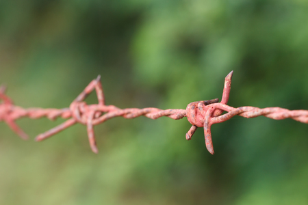 Macro photography the barbed wire background, the concept of trying to overcome the problems and obstaclesの写真素材