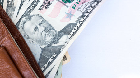 American Fifty Dollar Bills growing up as theplant  business concept