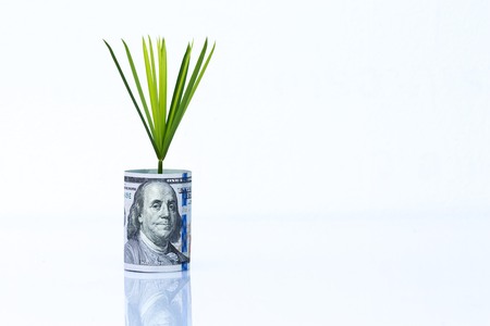 new 100 US dollars 2013 edition banknotes (bills) on white backgroundの写真素材