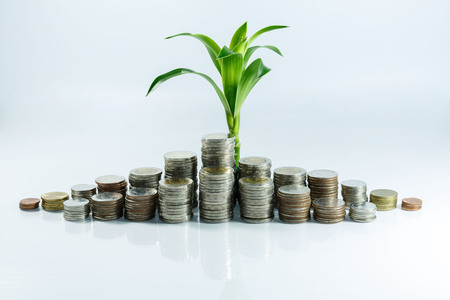 Thai Baht coinn  saving  conceptの写真素材