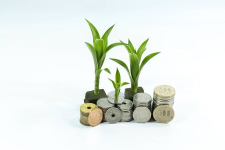 Japanese Yen coins grow up on white background and calculatorの写真素材