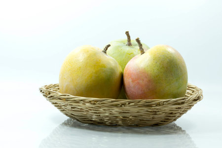 mangoes  on white backgroundの写真素材