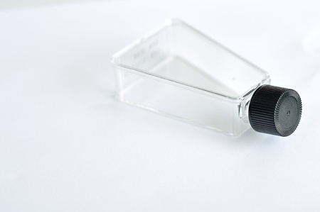 Tissue culture flask, small sizeの写真素材
