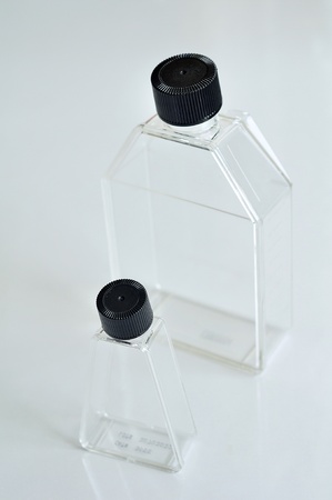 Tissue culture flaskの写真素材