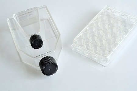 Tissue culture flask and 24 wells plateの写真素材