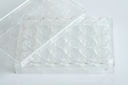 24 wells plate for tissue cultureの写真素材