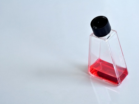 Tissue culture flask with mediaの写真素材