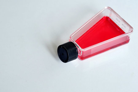 Tissue culture flask with mediaの写真素材