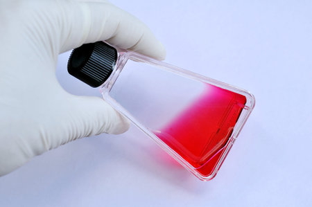 Tissue culture flask with mediaの写真素材