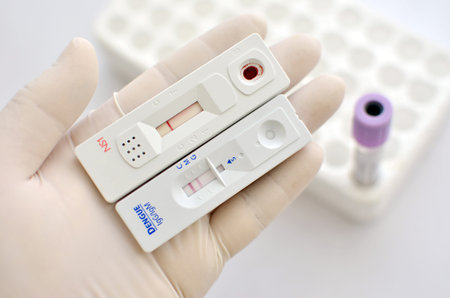 Dengue virus testing