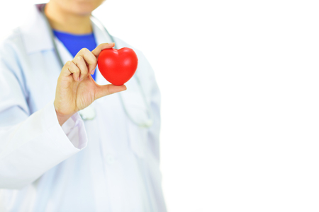 Doctor holding heart in handsの写真素材