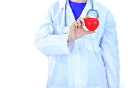 Cardiologist holding heart in handの写真素材