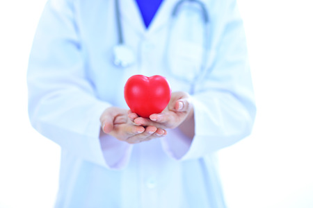 Cardiologist holding heart in handの写真素材