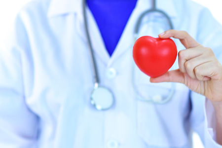 Cardiologist holding heart in handの写真素材