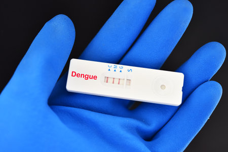 Dengue virus positive test result by using rapid test deviceの写真素材