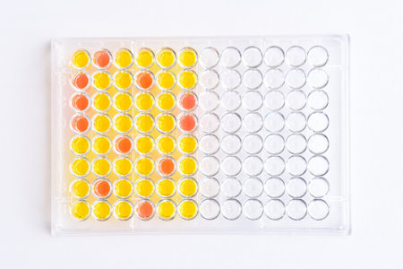 Enzyme-linked immunosorbent assay or ELISA plate, Immunology testing method in medical laboratoryの写真素材