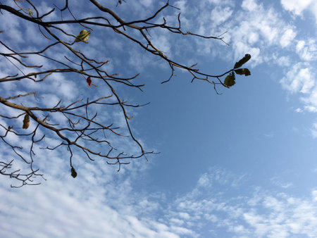 Blue sky background