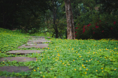 rock path,Pathway through green grassの写真素材