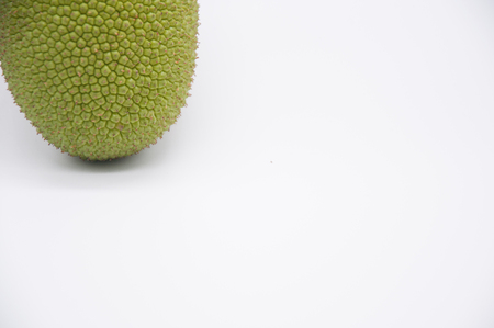 jackfruit isolated on white backgroundの写真素材