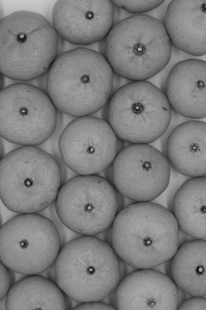 flat lay oranges fruitの写真素材