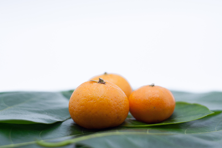 three oranges fruit on leave isolated on whiteの写真素材