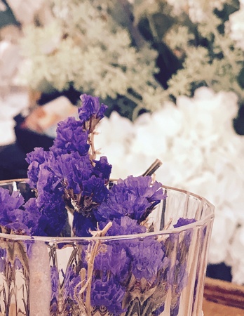 Purple dry flowers are in the glass.の素材