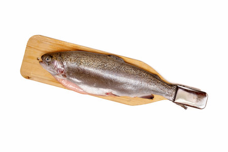 Salmon fish isolated on white background, rainbow