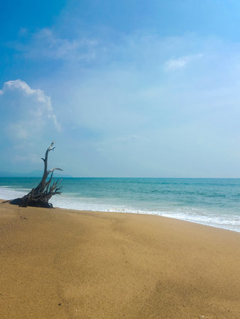 Empty Tropical Beach