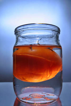 Tomato in a bottle with waterの写真素材