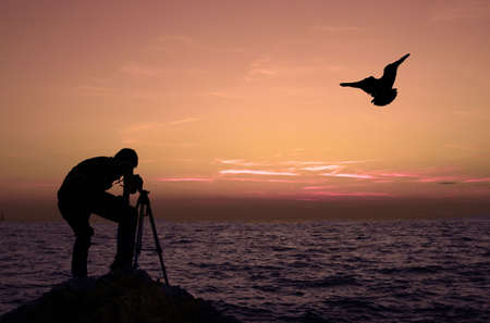 Photographer photographing sunset with seagull silhouetteの写真素材