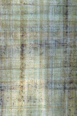 Old piece of papyrus paperの写真素材