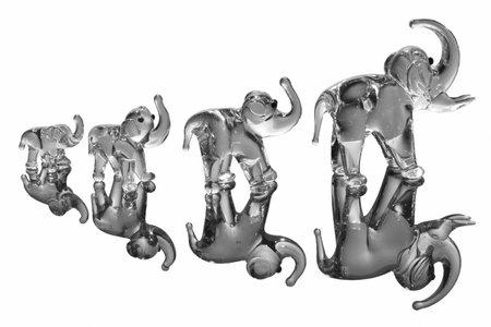 Elephant statues on white with reflectionの写真素材