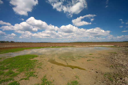 Meadow with small water pond with cloudy skyの写真素材