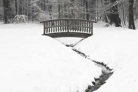 Wooden bridge with creek in forestの写真素材