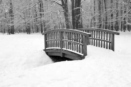 Wooden bridge in winter forestの写真素材