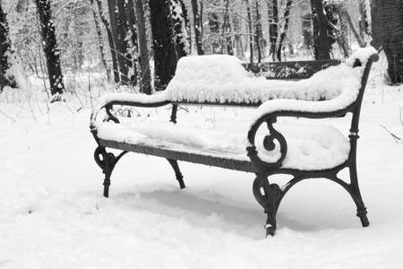 Bench in forest under snowの写真素材