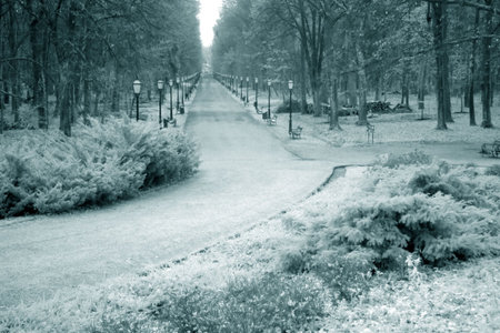 Infra red photo of park Maksimirの写真素材