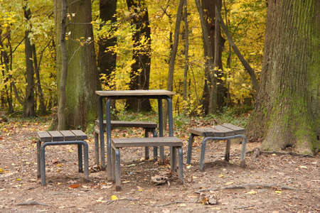 Wooden bench and table in woodsの写真素材