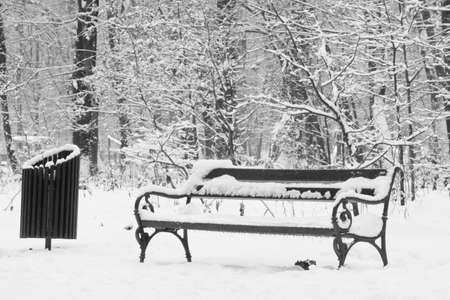 Bench and garbage bin under snowの写真素材