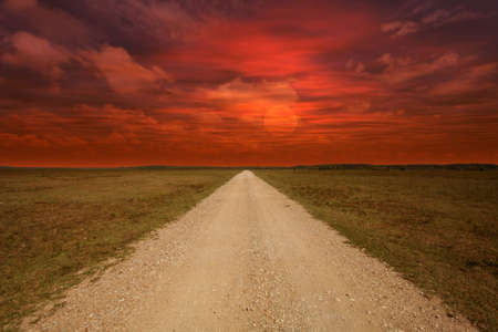 Field during sunsetの写真素材