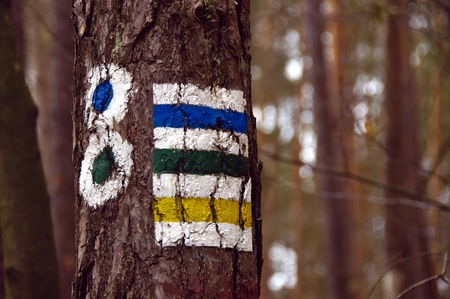 marking the trailの写真素材