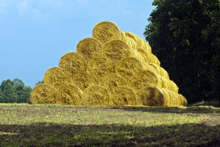 bales of strawの写真素材