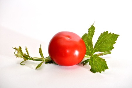 Tomato on a white backgroundの写真素材