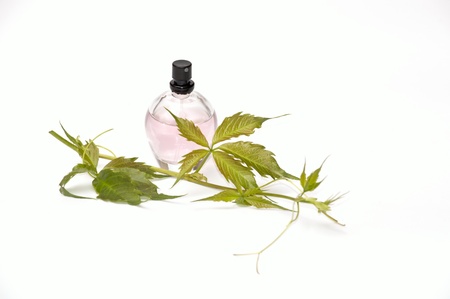 fragrance oilの写真素材