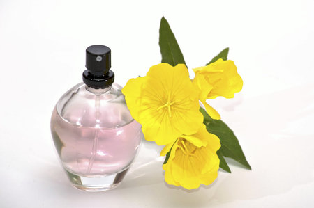 fragrance oil
