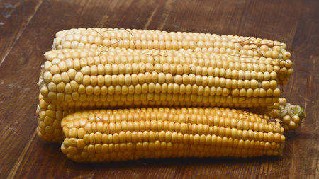 Corn on the cob